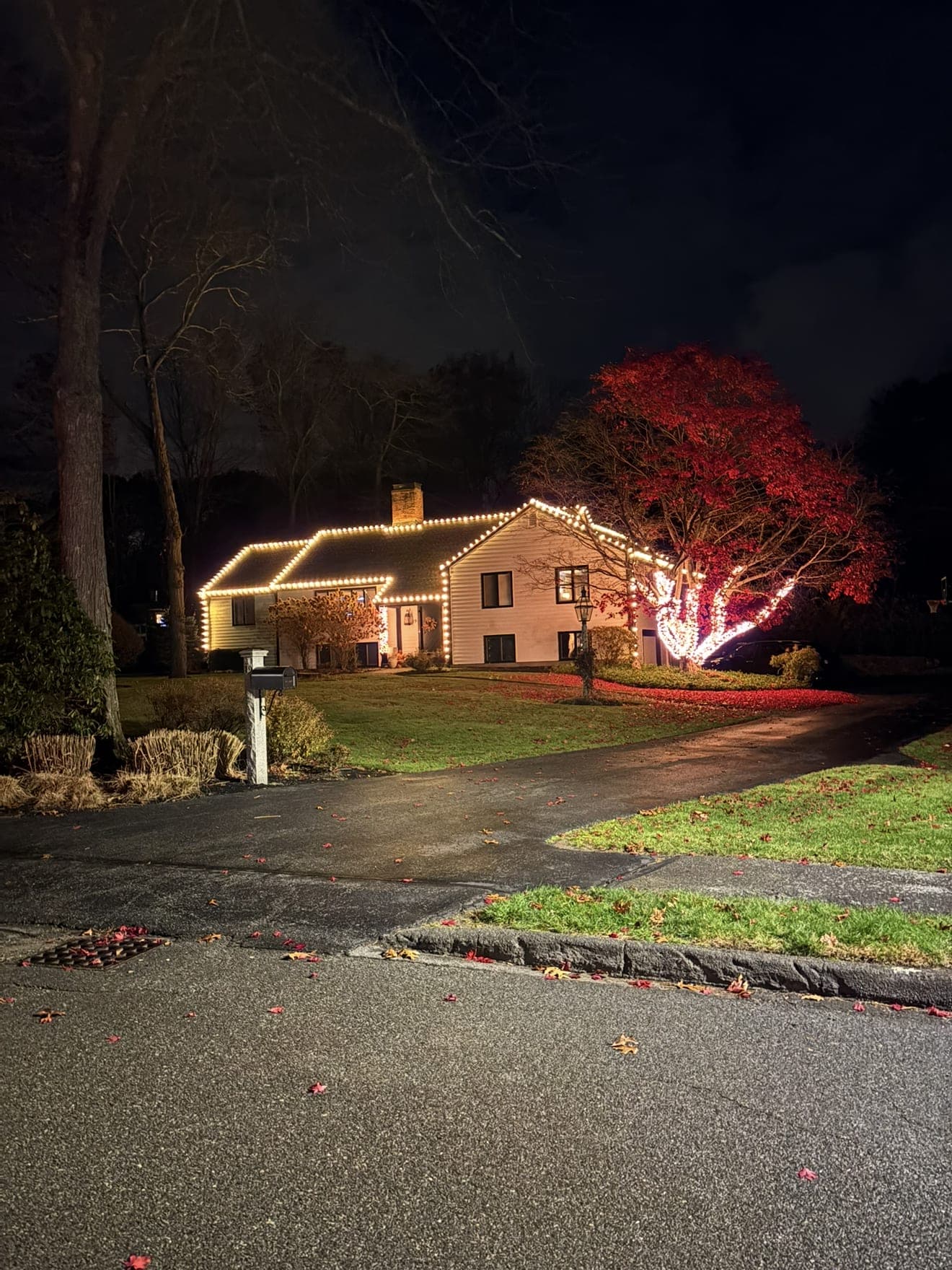 Home with warm-white roofline lights beside a maple tree wrapped in red lights